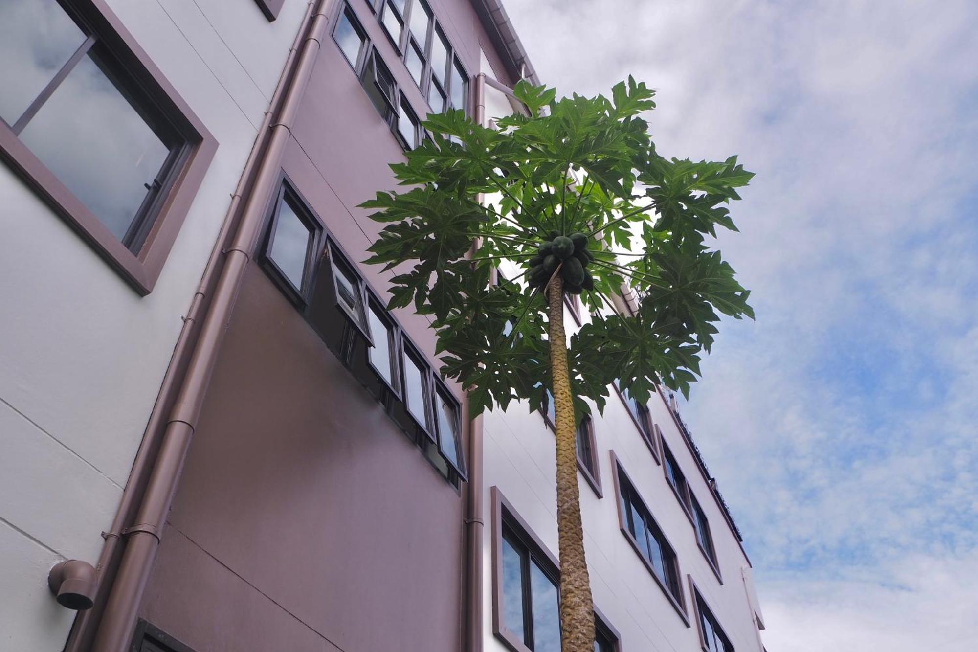 Rakkawan Residence خاو لاك المظهر الخارجي الصورة